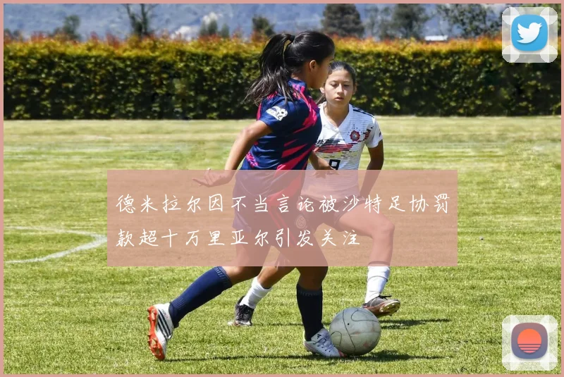 德米拉尔因不当言论被沙特足协罚款超十万里亚尔引发关注