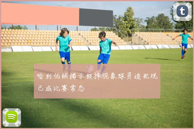 哈利伯顿揭示假摔现象球员造犯规已成比赛常态